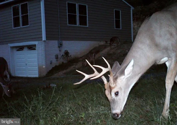 $499,900 | 3837 Graces Cabin Road, Springfield, WV 26763