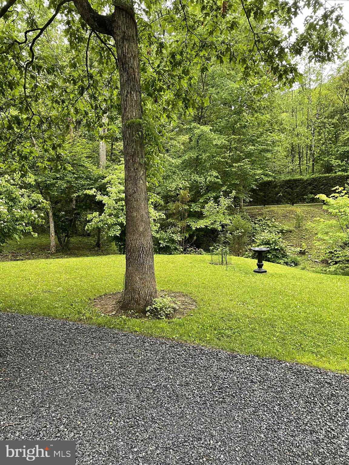 3837 Graces Cabin Road Springfield, WV 26757 - Photo 72 of 75