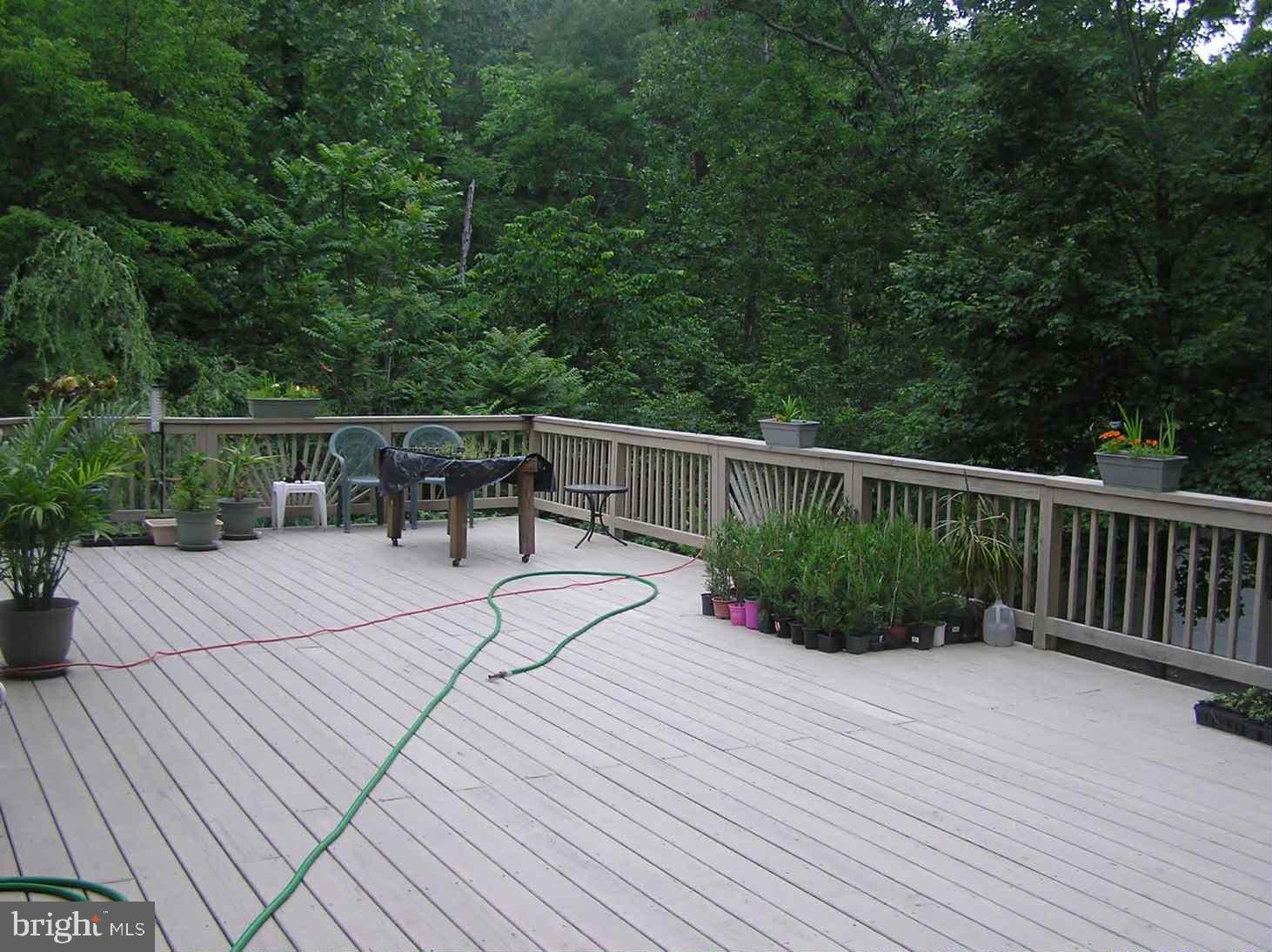 3837 Graces Cabin Road Springfield, WV 26757 - Photo 10 of 75