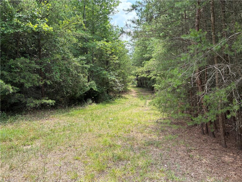 207 Cockerham Road Elkin, NC 28621 - Photo 13 of 42 Gallery Image 13