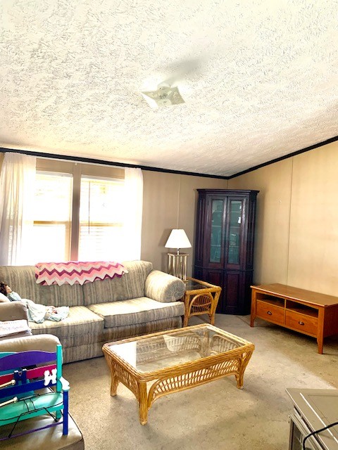 341 Alsup Road Prospect, TN 38477 - Photo 2 of 28