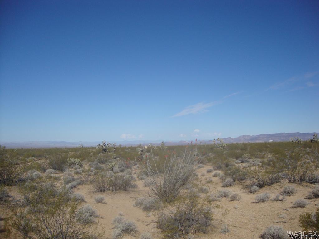3386 Doc Holliday Road Yucca, AZ 86438 - Photo 12 of 18