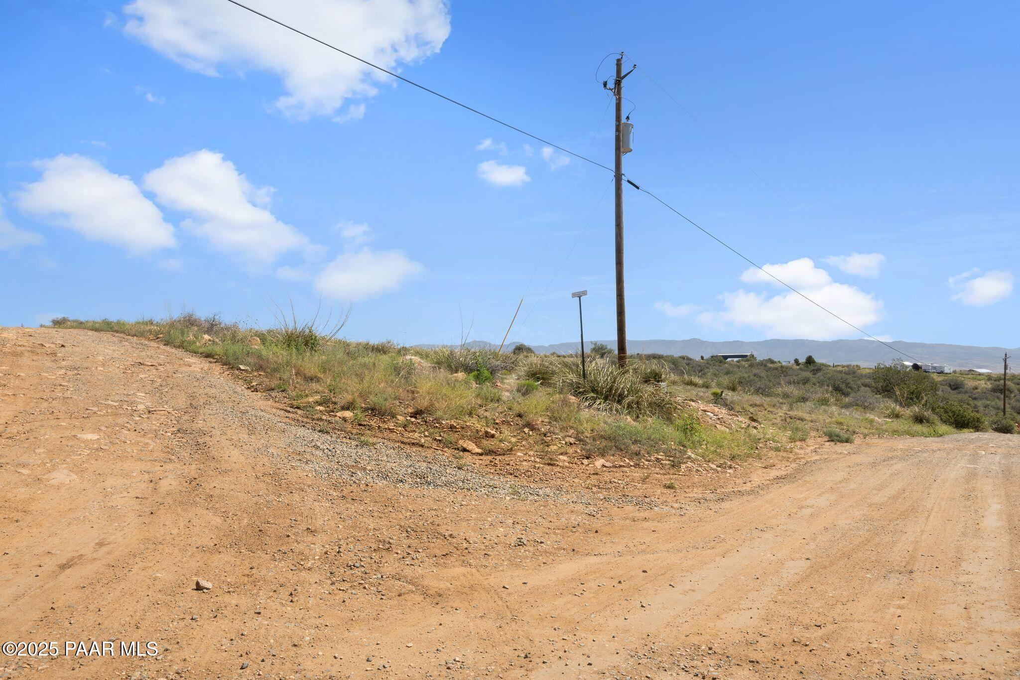 a view of a dry yard
