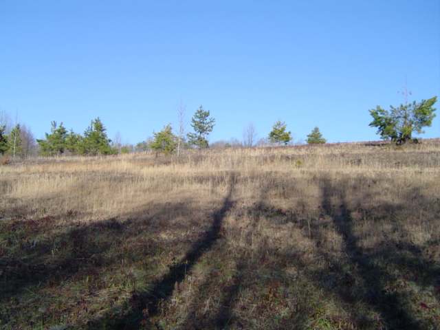 11.70-acres Melton Road Liberty, SC 29657 - Photo 2 of 8