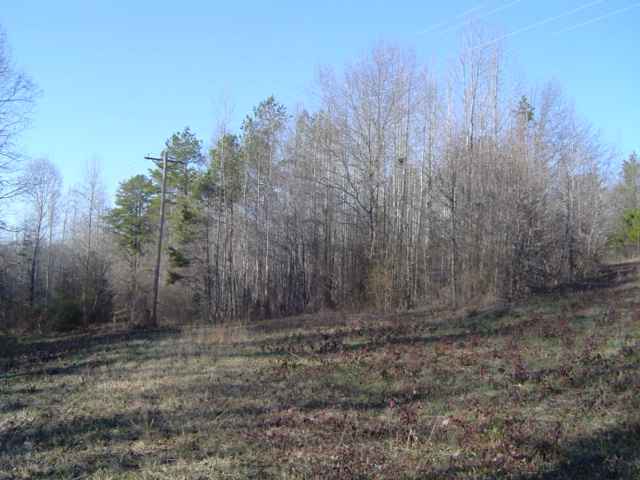 11.70-acres Melton Road Liberty, SC 29657 - Photo 3 of 8