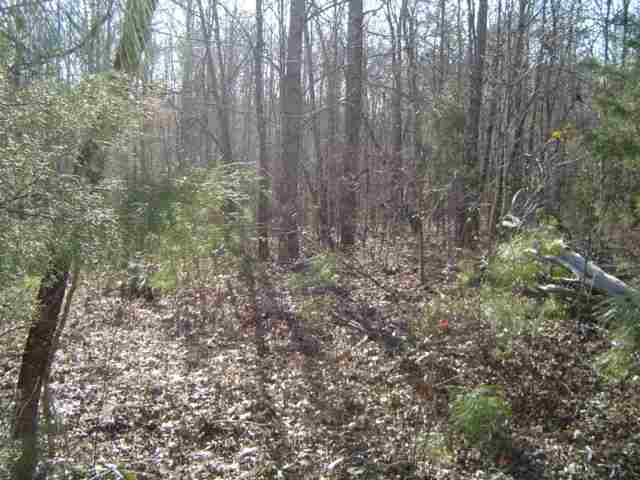 11.70-acres Melton Road Liberty, SC 29657 - Photo 4 of 8
