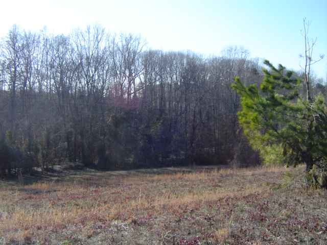 11.70-acres Melton Road Liberty, SC 29657 - Photo 7 of 8