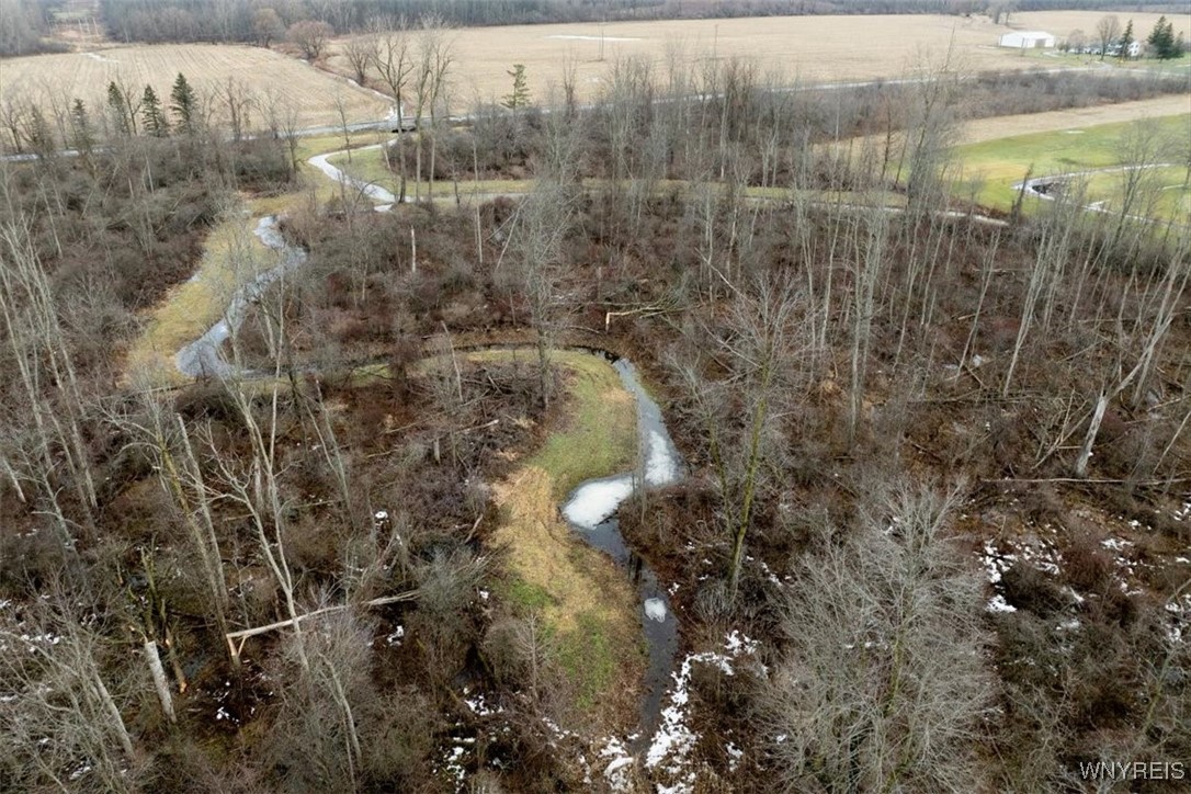 13111 Martin Road Newstead, NY 14001 - Photo 45 of 47