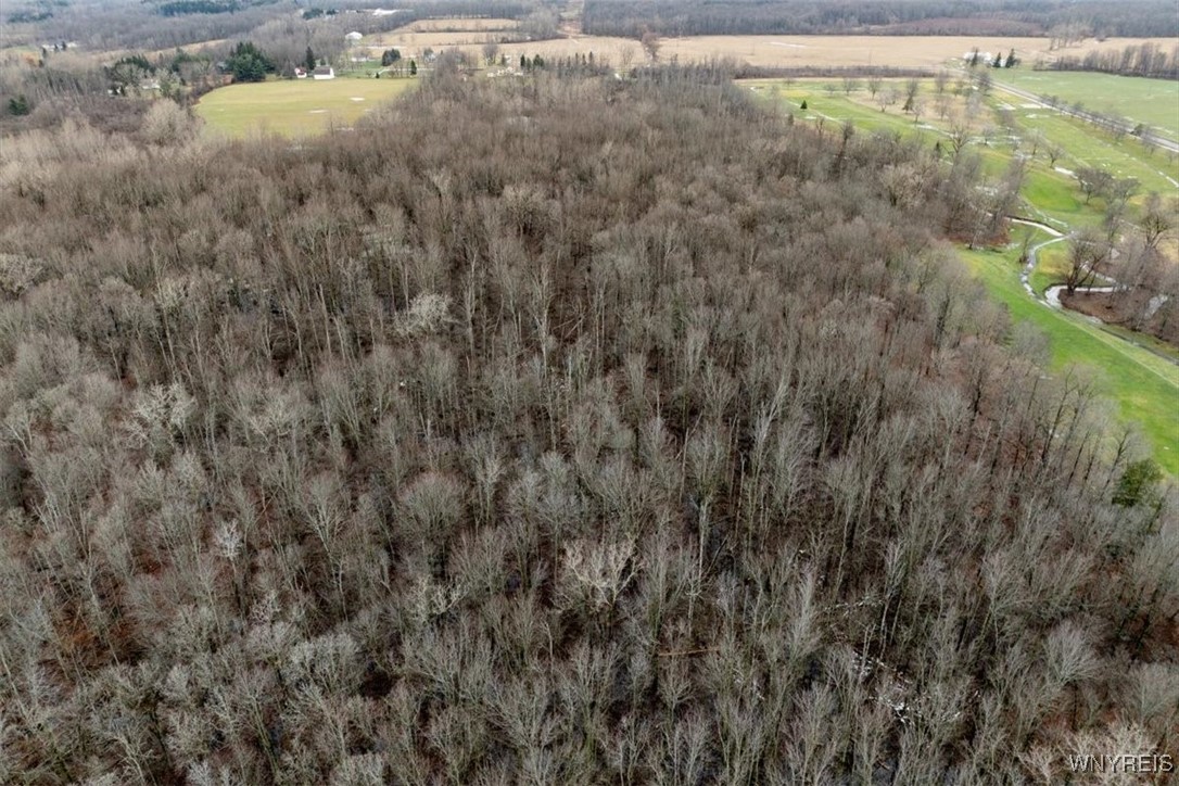 13111 Martin Road Newstead, NY 14001 - Photo 46 of 47