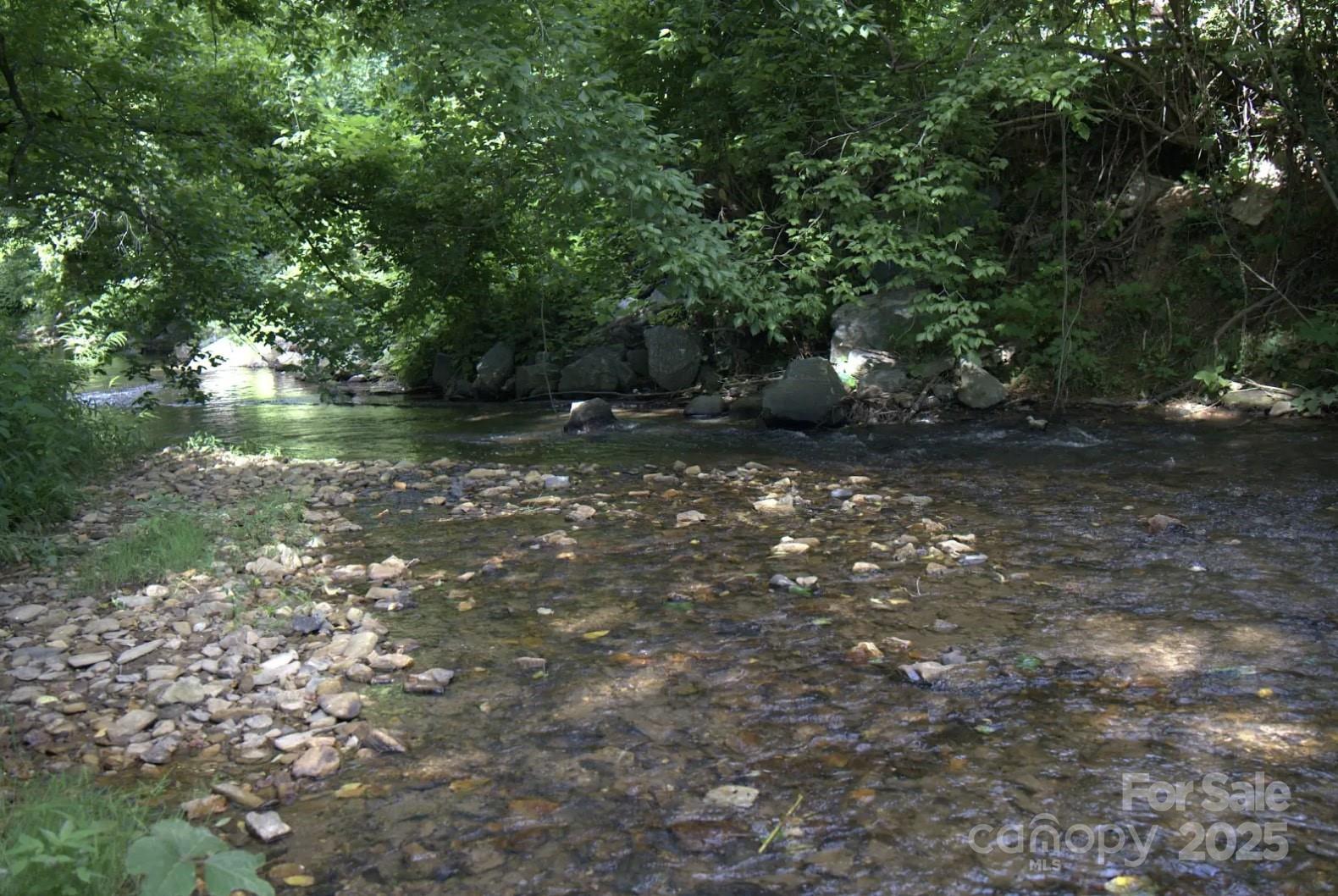 611 Bat Cave Road Old Fort, NC 28762 - Photo 5 of 8