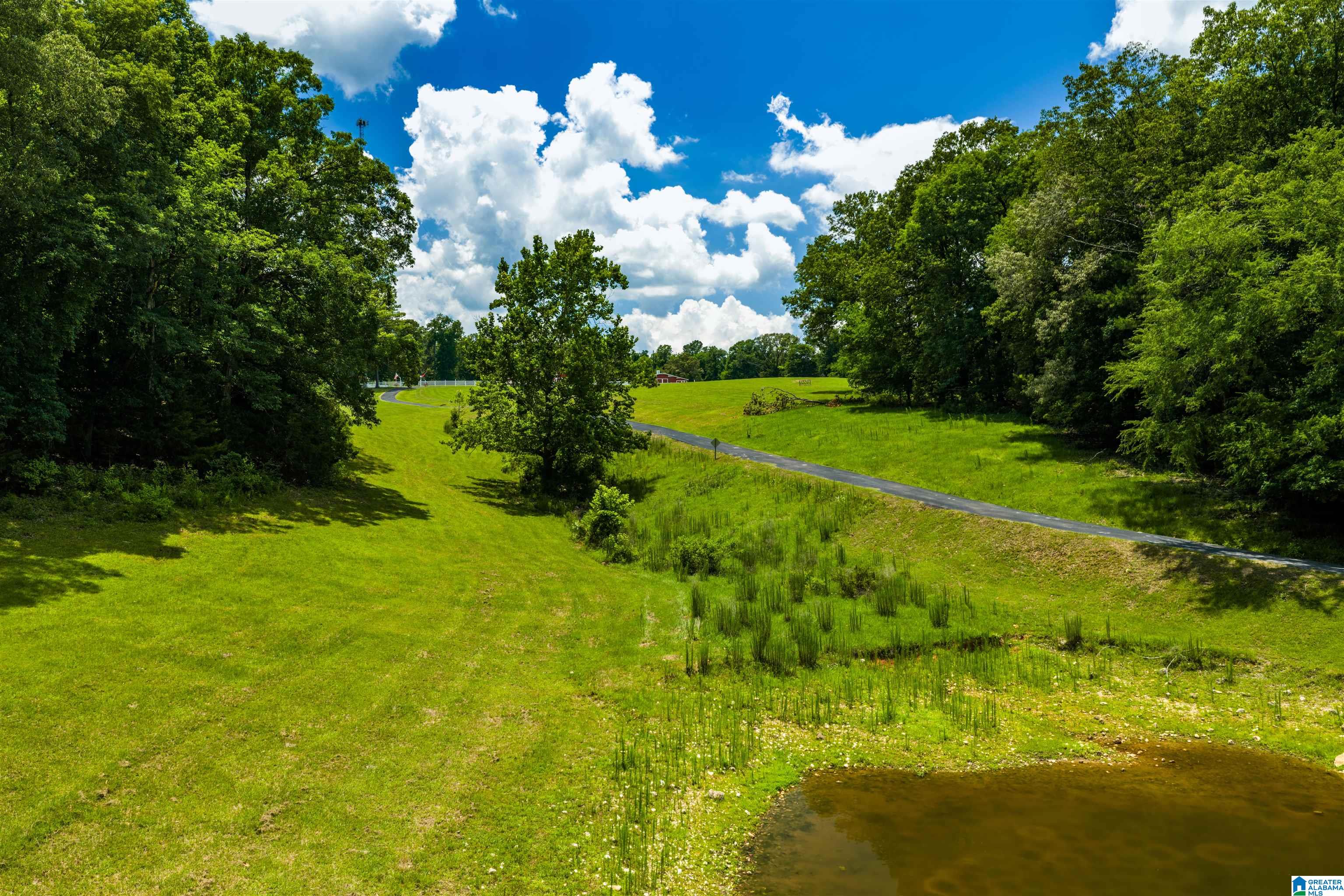 3640 Spring Creek Road Calera, AL 35040 - Photo 16 of 83