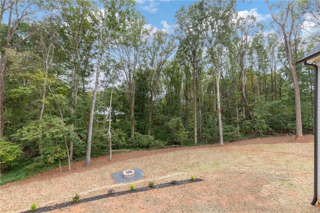 2001 Epperson Road Canton, GA 30115 - Photo 60 of 90