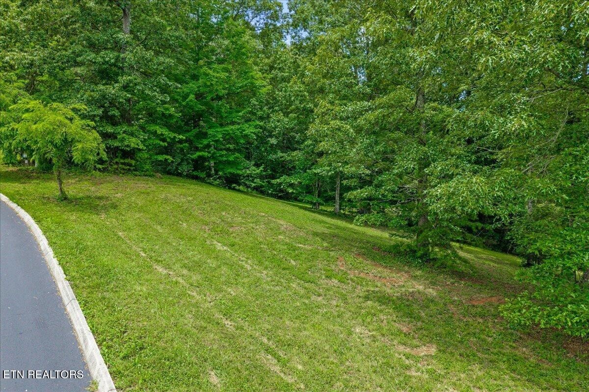 0 Springwater Run Madisonville, TN 37354 - Photo 11 of 13 Gallery Image 11