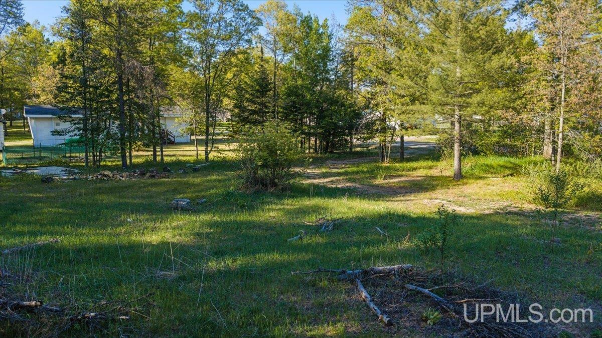 10367 V V.05 Road Rapid River, MI 49878 - Photo 5 of 16