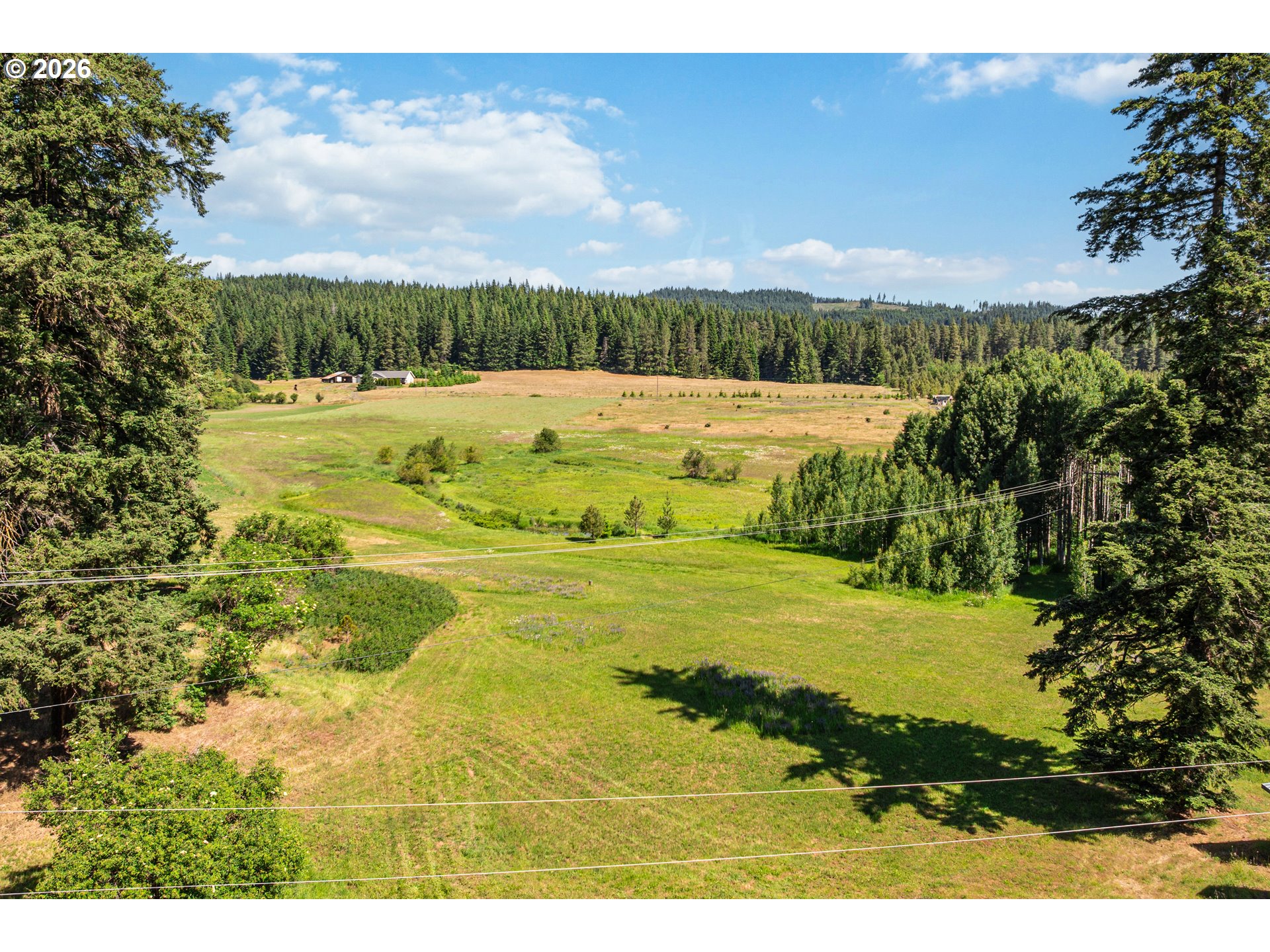 851 Snowden Road White Salmon, WA 98672 - Photo 39 of 48