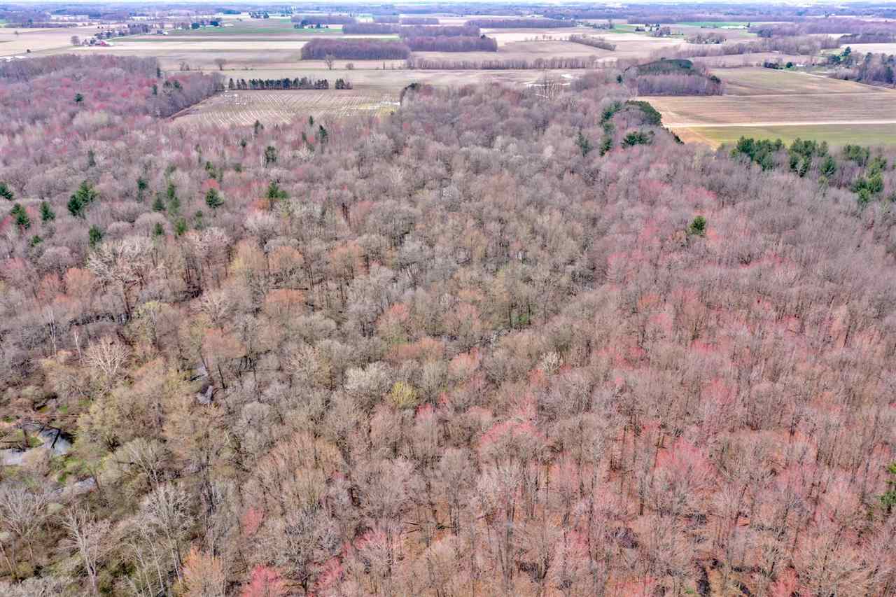 0 Vassar Road Millington, MI 48746 - Photo 10 of 15
