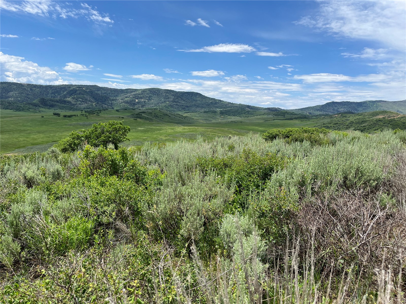 46 Routt County Road Steamboat Springs, CO 80487 - Photo 17 of 23 a view of an outdoor space and mountain view