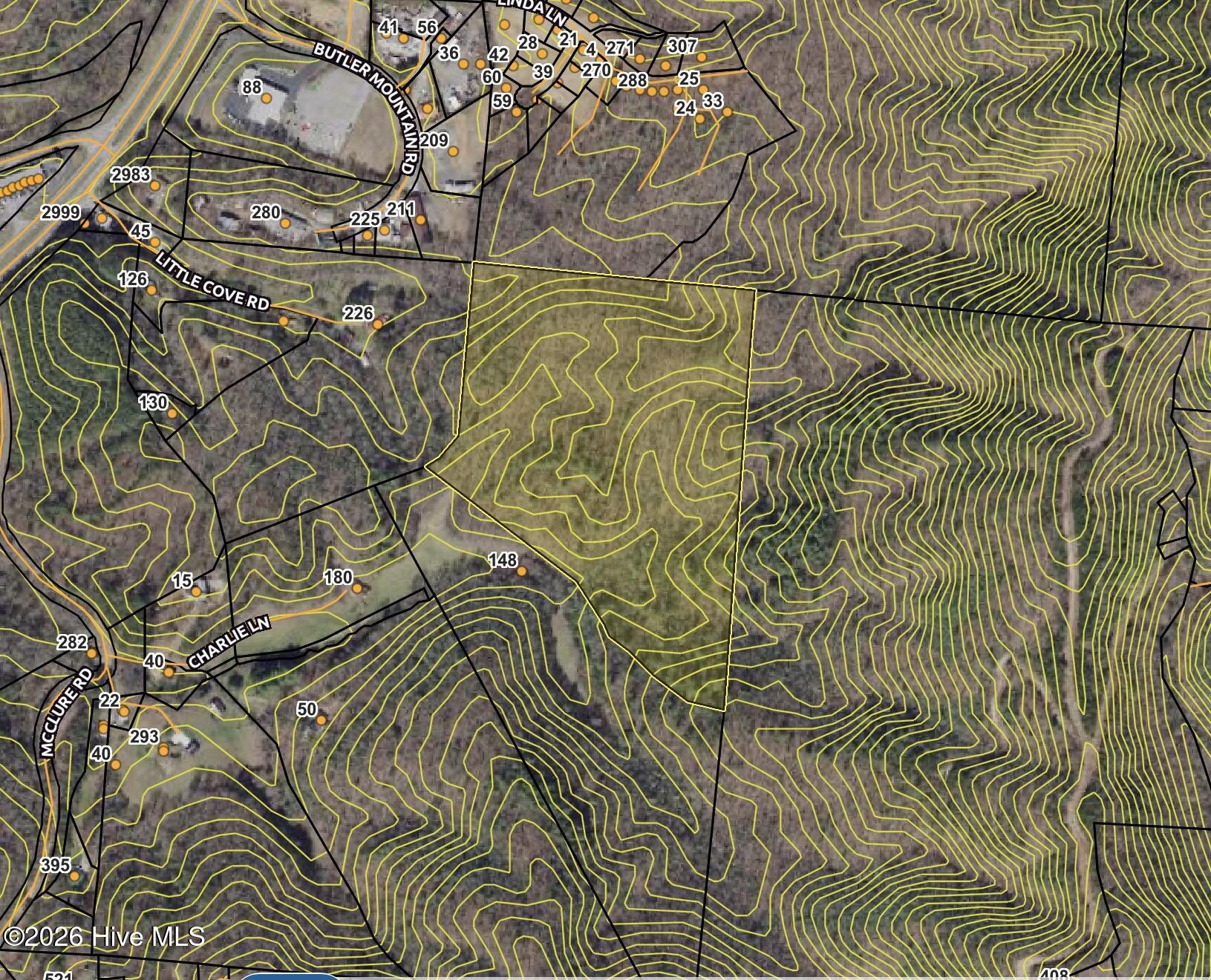 0 Charlie Lane Murphy, NC 28906 - Photo 2 of 3 20ft Contour