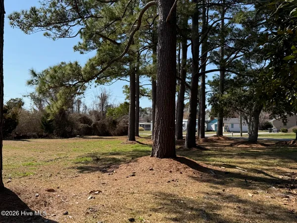 $425,000 | 115 Polly Way Lane, Marshallberg, NC 28553