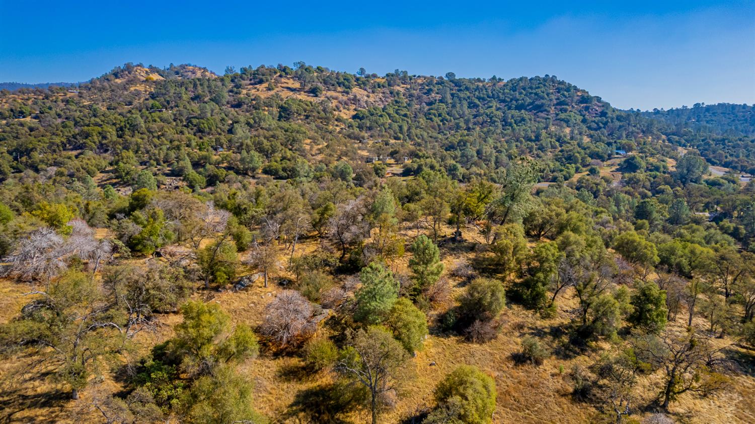 0 Farmstead Road Coarsegold, CA 93614 - Photo 1 of 28 Gallery Image 1
