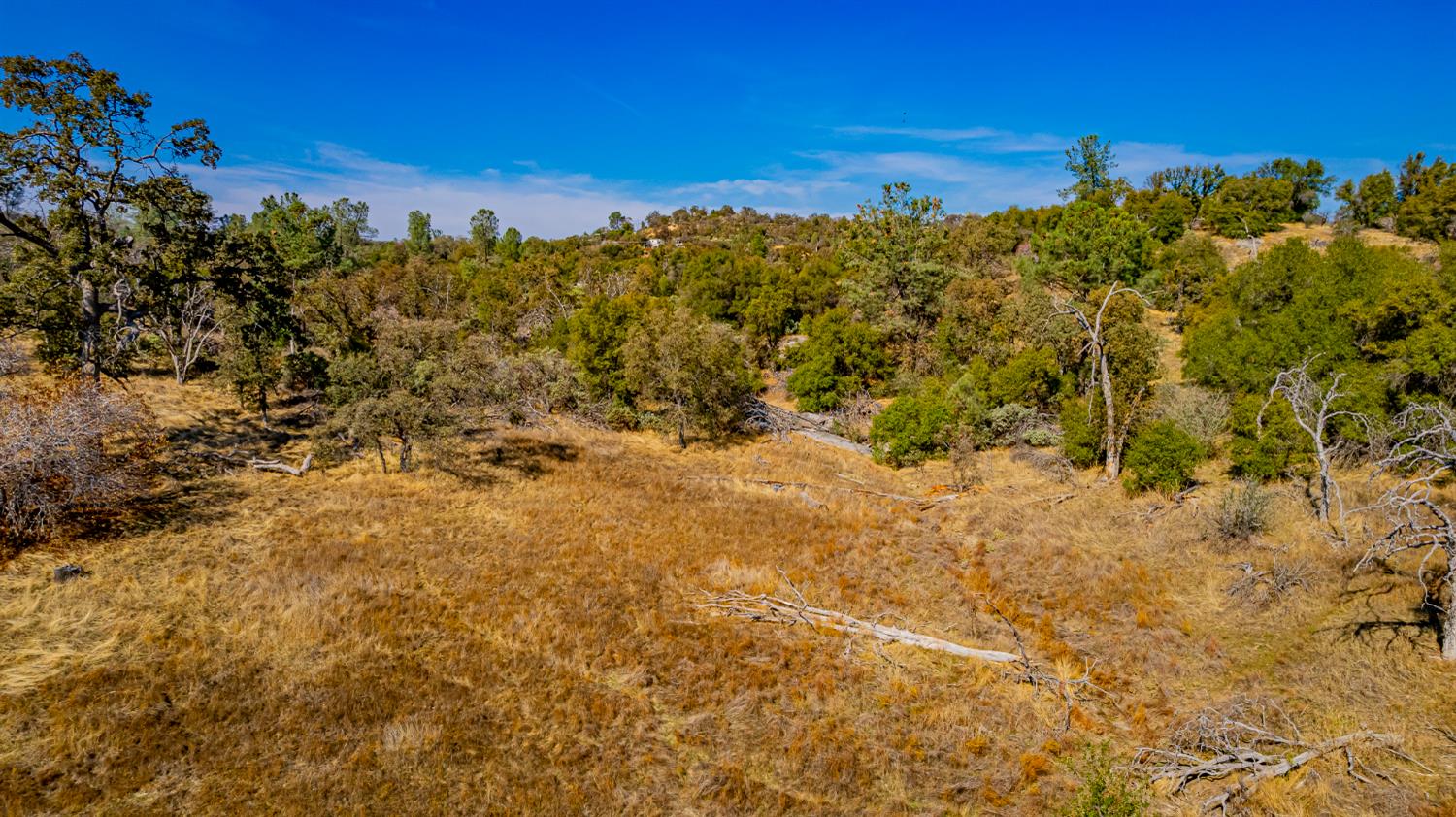 0 Farmstead Road Coarsegold, CA 93614 - Photo 14 of 28 Gallery Image 14