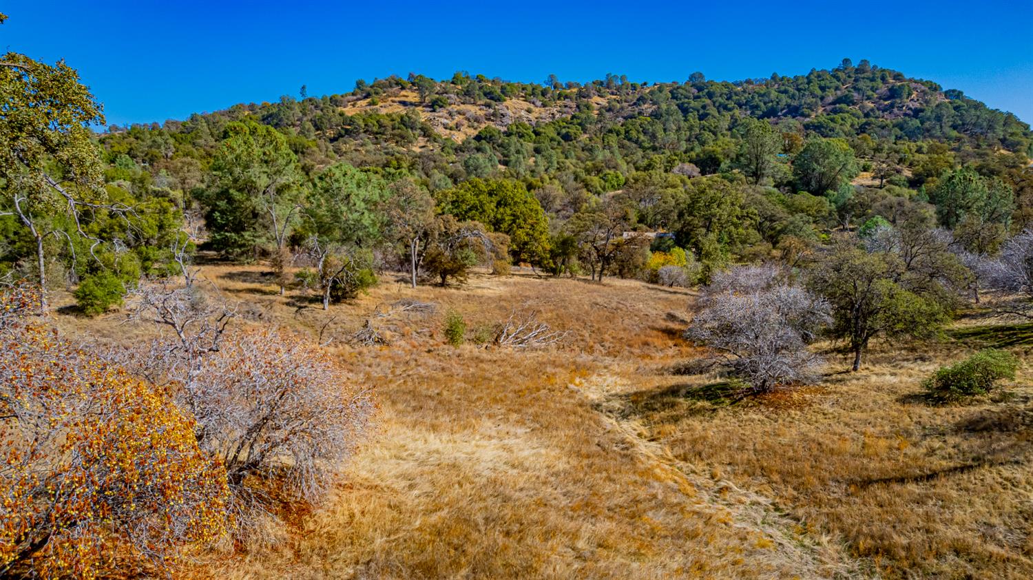 0 Farmstead Road Coarsegold, CA 93614 - Photo 15 of 28 Gallery Image 15