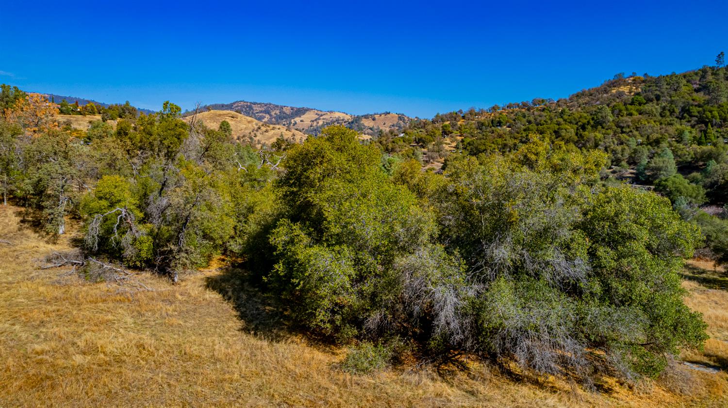 0 Farmstead Road Coarsegold, CA 93614 - Photo 17 of 28 Gallery Image 17