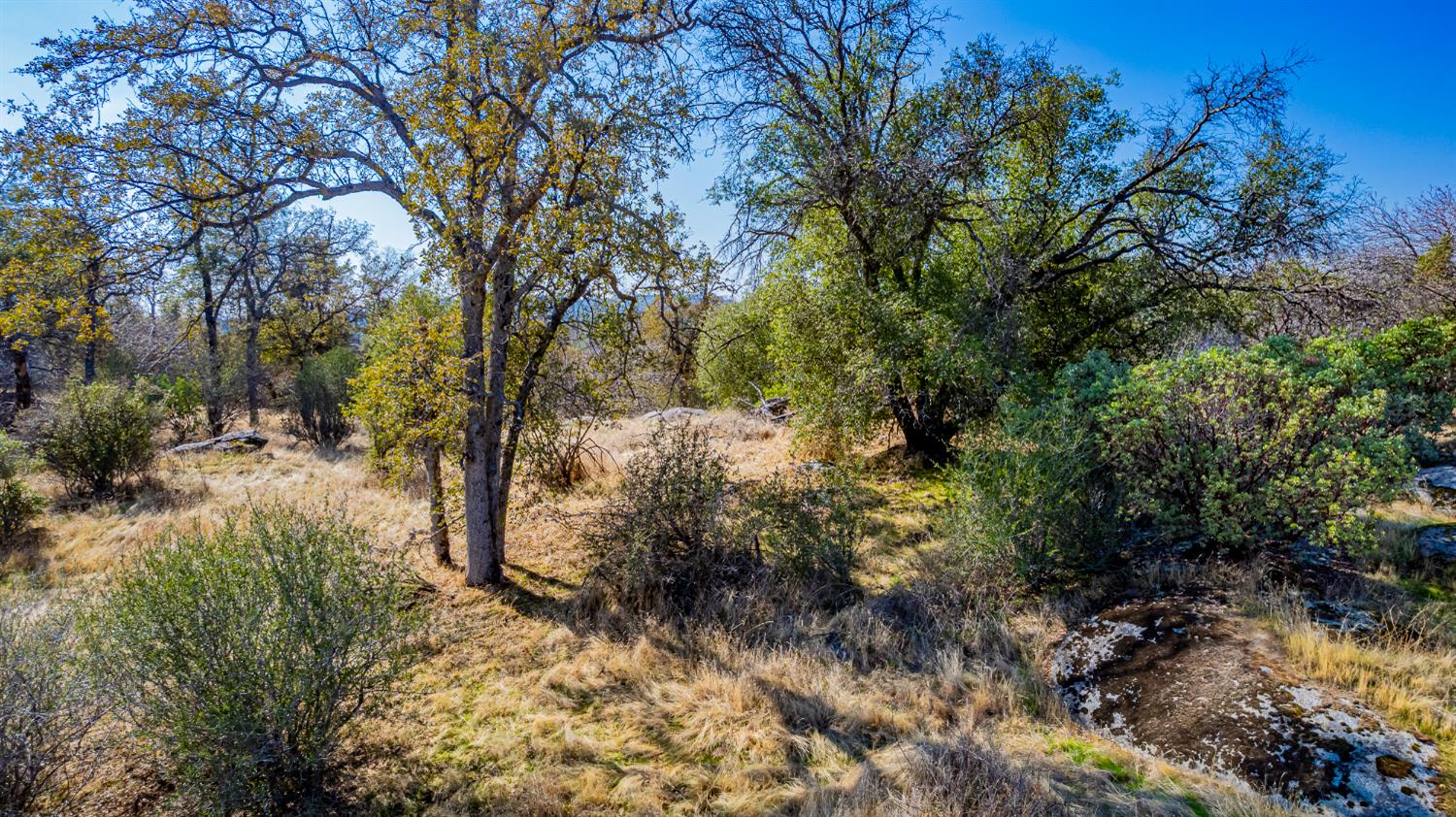 0 Farmstead Road Coarsegold, CA 93614 - Photo 18 of 28 Gallery Image 18