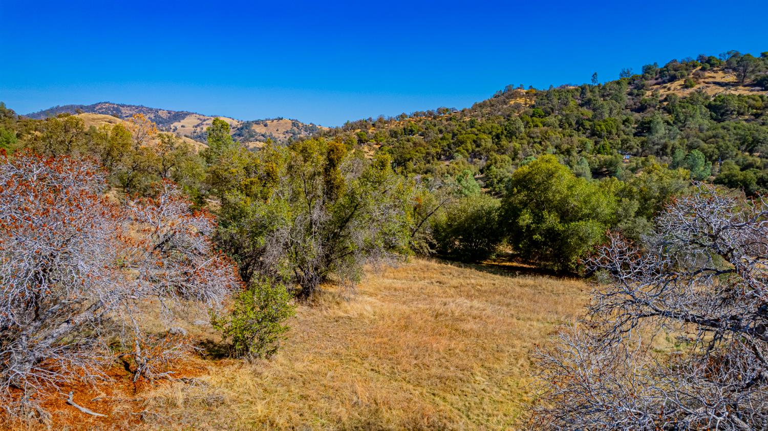 0 Farmstead Road Coarsegold, CA 93614 - Photo 19 of 28 Gallery Image 19