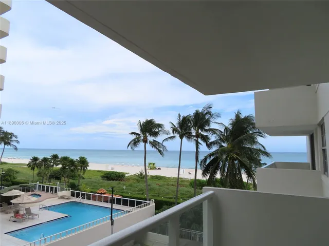 a view of a yard with a palm tree