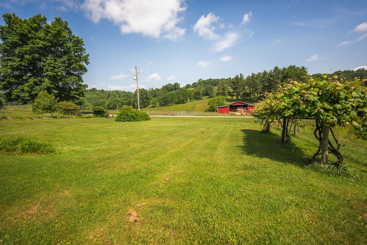 1235 Rush Fork Road Southwest Floyd, VA 24091 - Photo 4 of 69 DSC08729