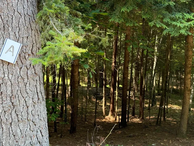 $119,900 | L36 Hidden Valley Road, Unit LOT A, Lake Luzerne, NY 12846