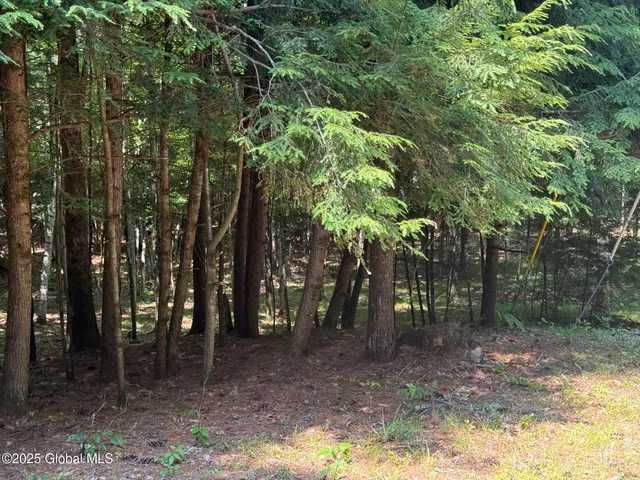 $119,900 | L36 Hidden Valley Road, Unit LOT A, Lake Luzerne, NY 12846