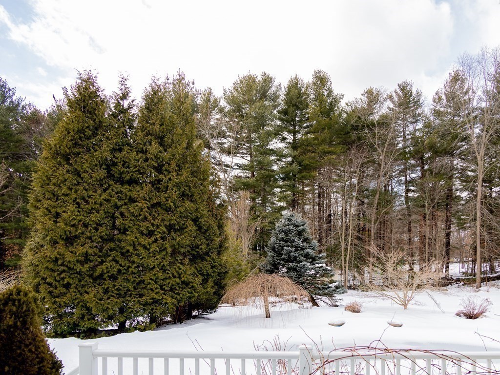 35 Colts Crossing Canton, MA 02021 - Photo 42 of 42