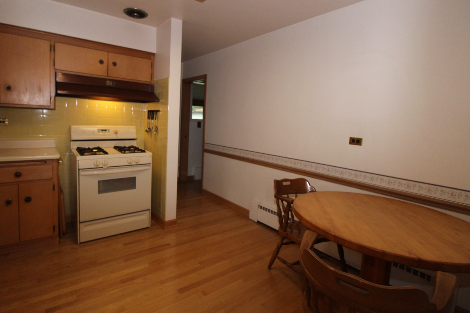 224 North Hamlin Avenue Park Ridge, IL 60068 - Photo 6 of 18