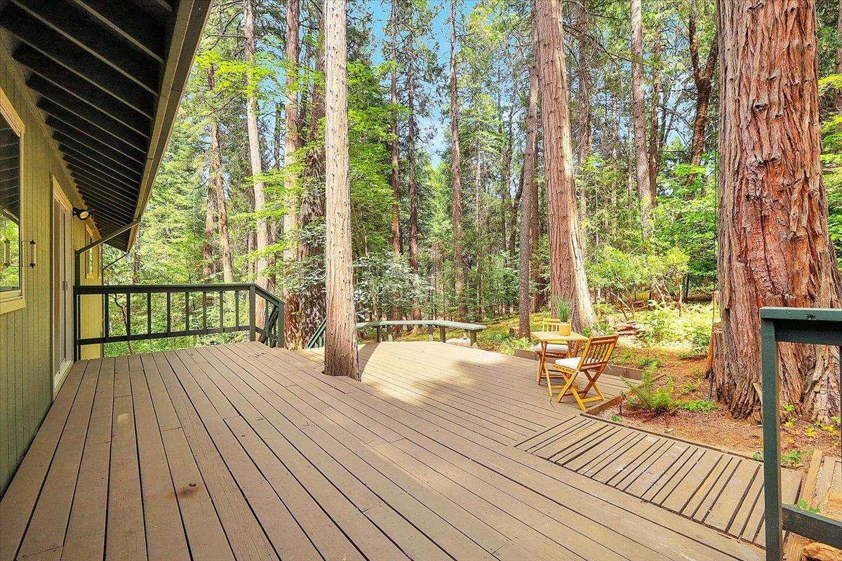 12593 Red Dog Road Nevada City, CA 95959 - Photo 10 of 41