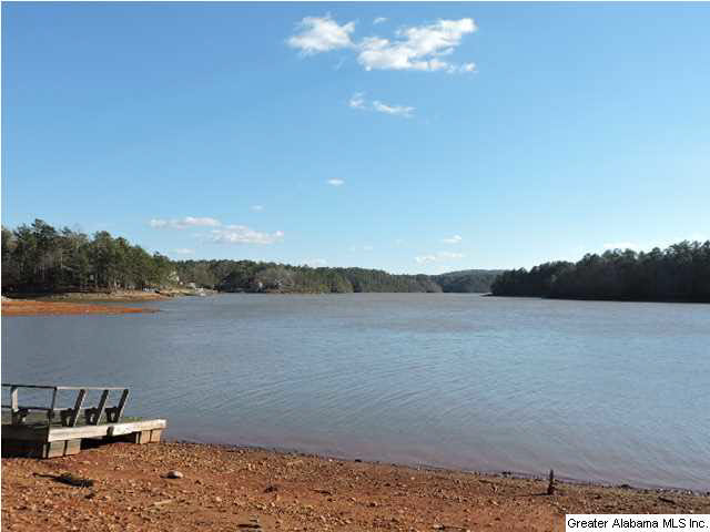 229 Hanson Road Wedowee, AL 36278 - Photo 3 of 27