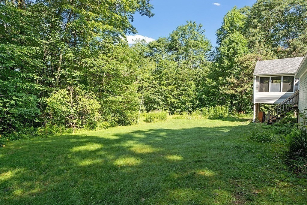 363 North Main Street Petersham, MA 01366 - Photo 27 of 32 a view of a trees in a yard