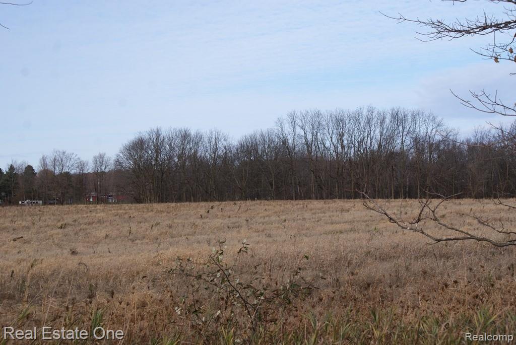 3 Mountview Road Lapeer, MI 48446 - Photo 7 of 7