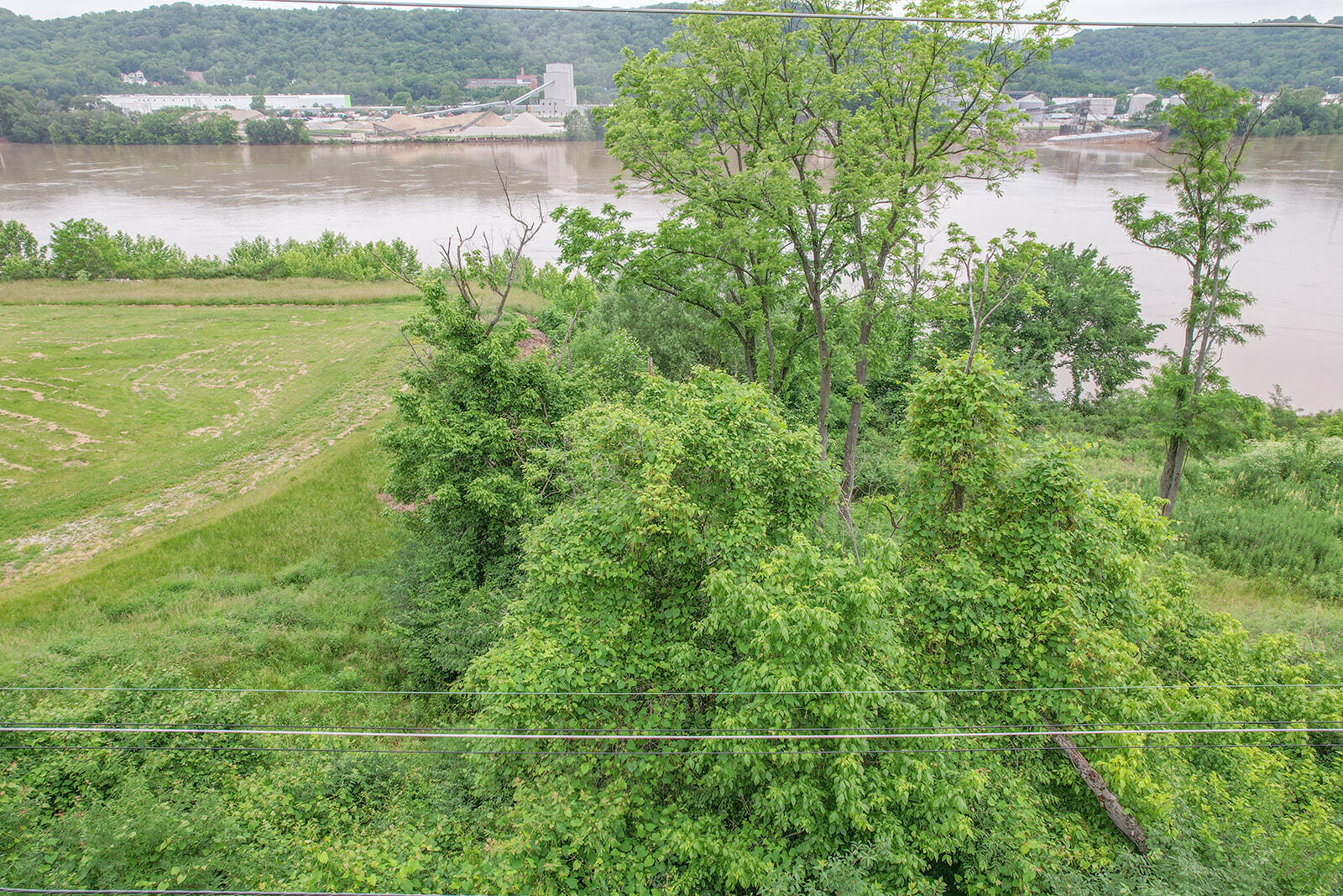478 River Road Villa Hills, KY 41017 - Photo 14 of 16