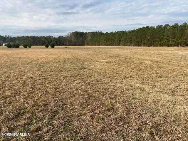 $110,000 | 0 Hwy 33 Grimesland Nc 27837, Chocowinity, NC 27817