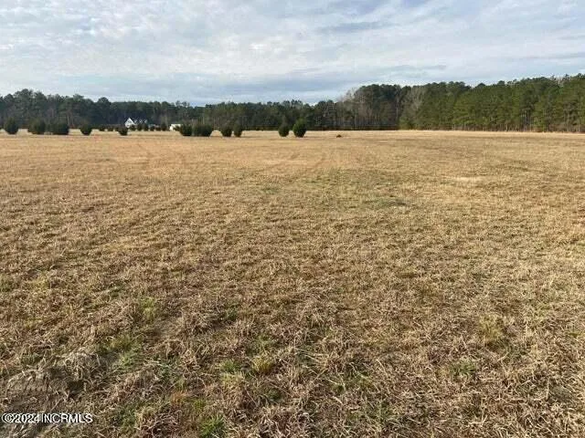 $110,000 | 0 Hwy 33 Grimesland Nc 27837, Chocowinity, NC 27817