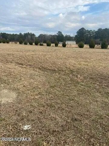 $110,000 | 0 Hwy 33 Grimesland Nc 27837, Chocowinity, NC 27817