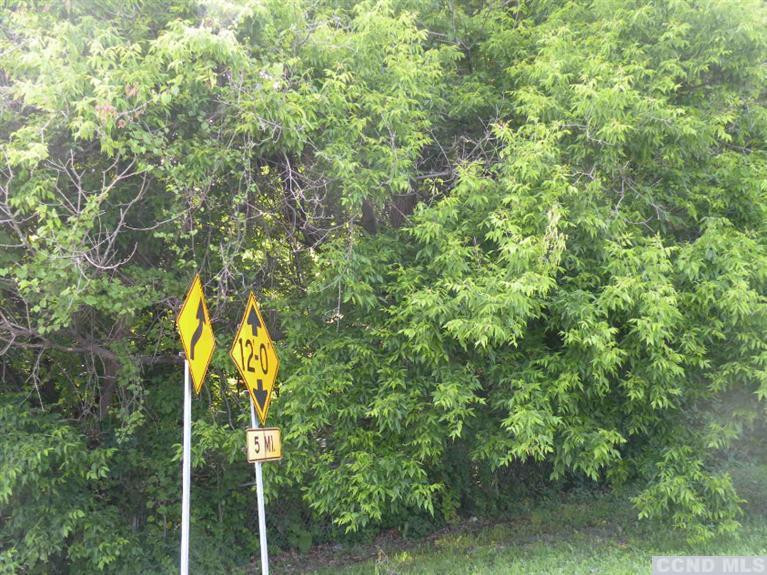 0 23a & 9w Catskill, NY 12414 - Photo 3 of 6 Photo 3