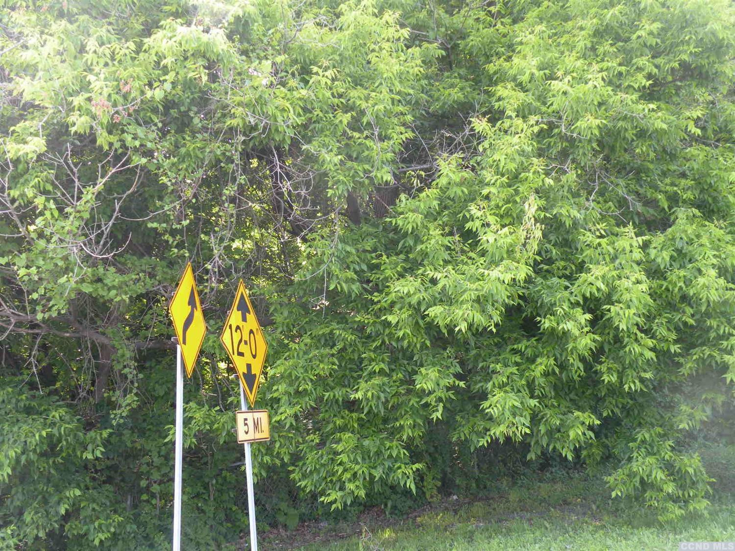 0 23a & 9w Catskill, NY 12414 - Photo 6 of 6 Photo 6