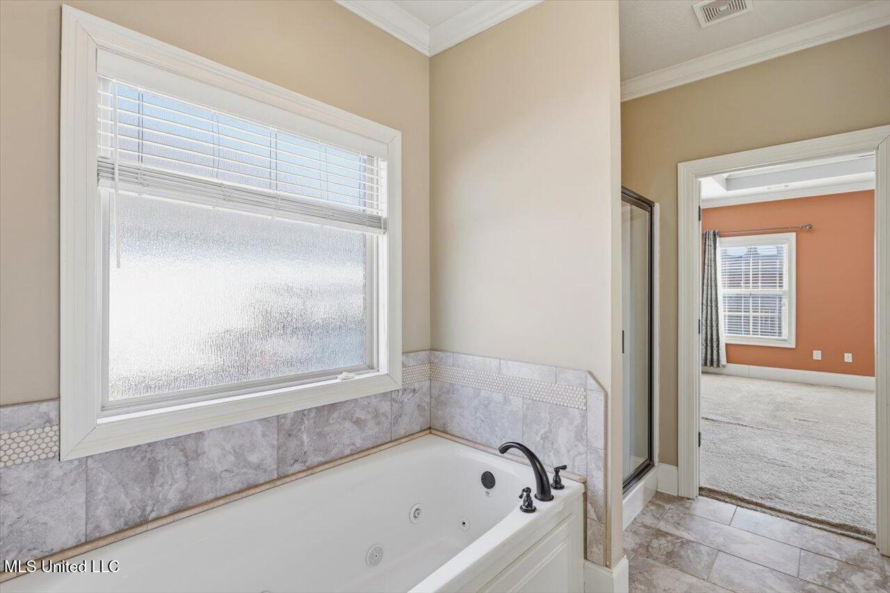 119 Camden Crossing Madison, MS 39110 - Photo 20 of 34 20-119 Camden Crossing _ Home Tours MS