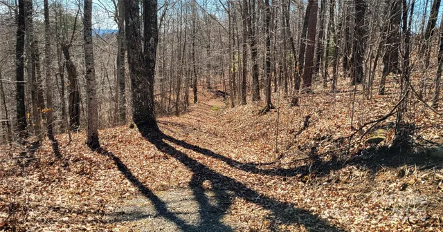 $13,000 | 6955 Silver Creek Lane, Morganton, NC 28655