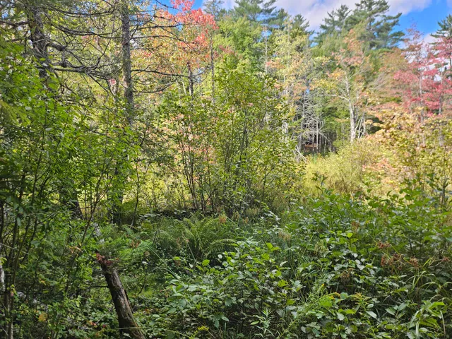 $92,500 | 24 Howard Siding Lane, Abbot, ME 04406