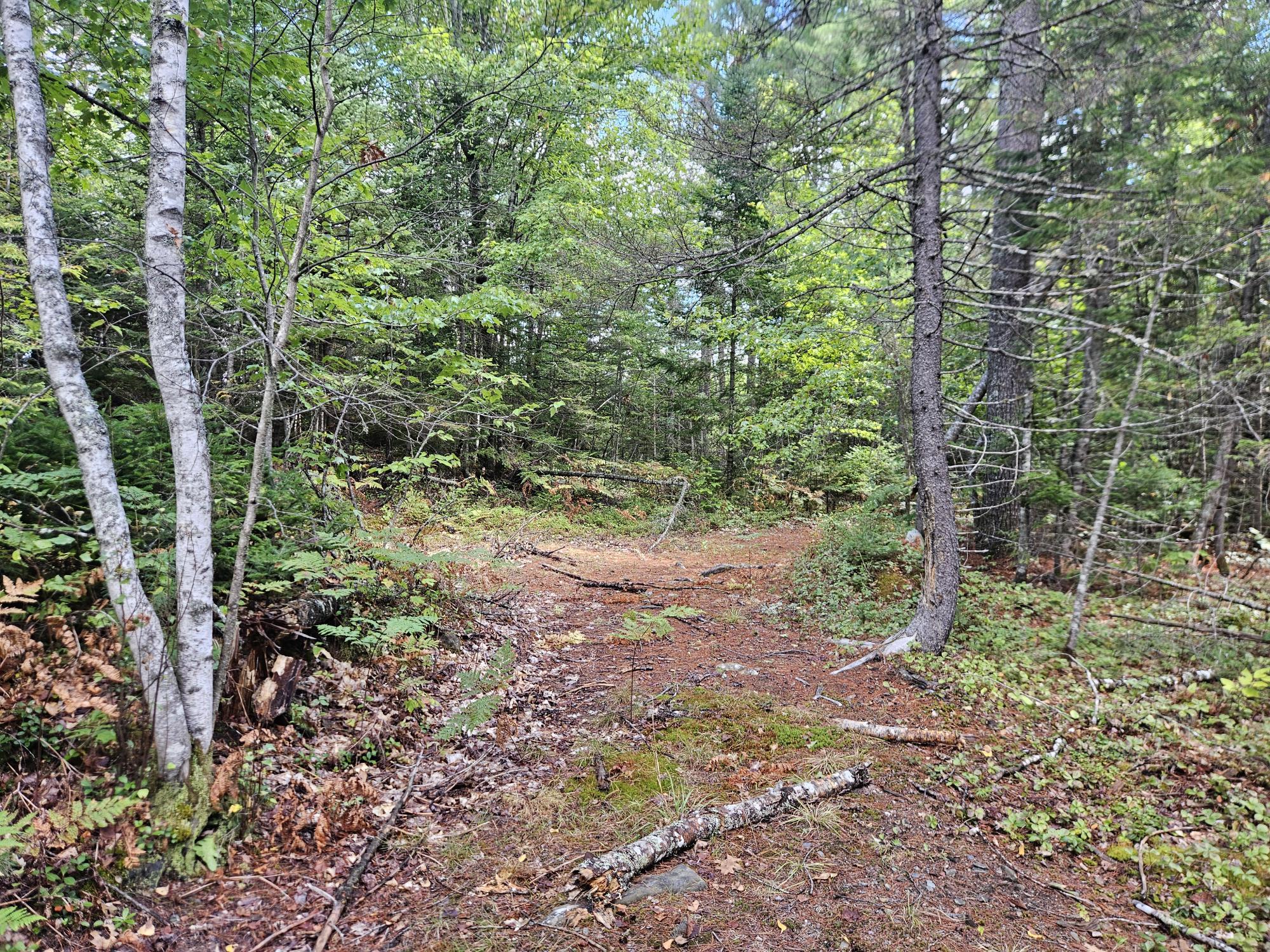 24 Howard Siding Lane Abbot, ME 04406 - Photo 14 of 44 20250908_110008