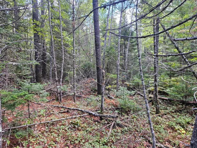 $92,500 | 24 Howard Siding Lane, Abbot, ME 04406